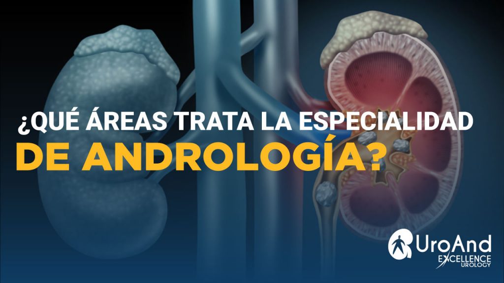 andrologia excellence urology