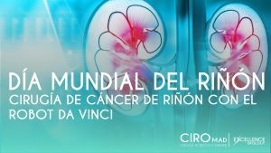 dia mundial rinon excellence urology
