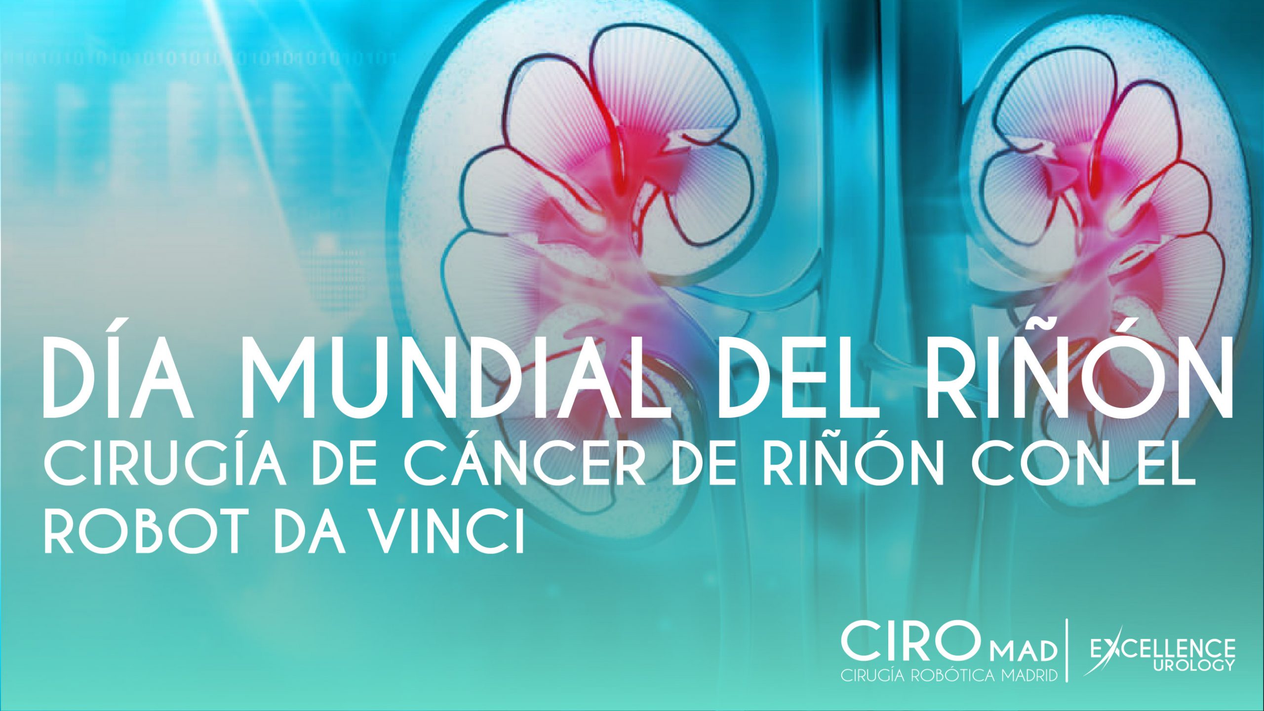 10 de marzo Día Mundial del Riñón - Excellence Urology