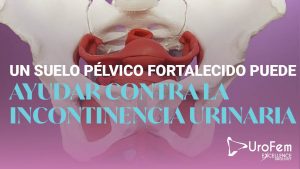 excellence urology 34