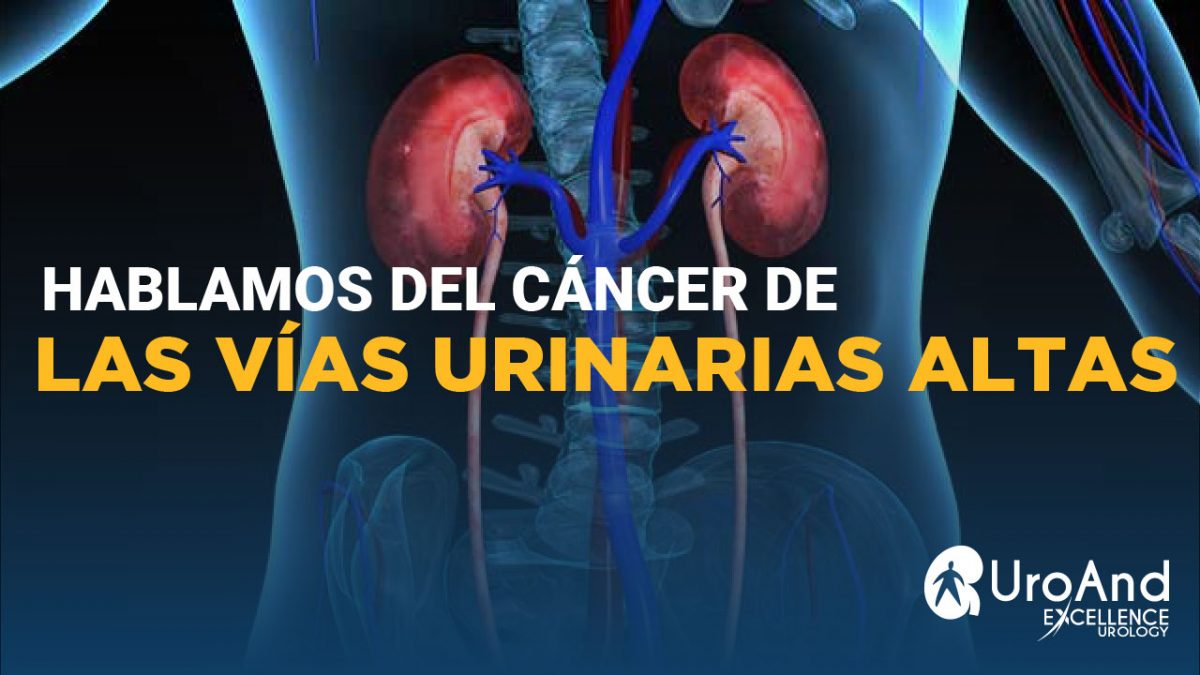 cancer vias urinarias excellence urology abril