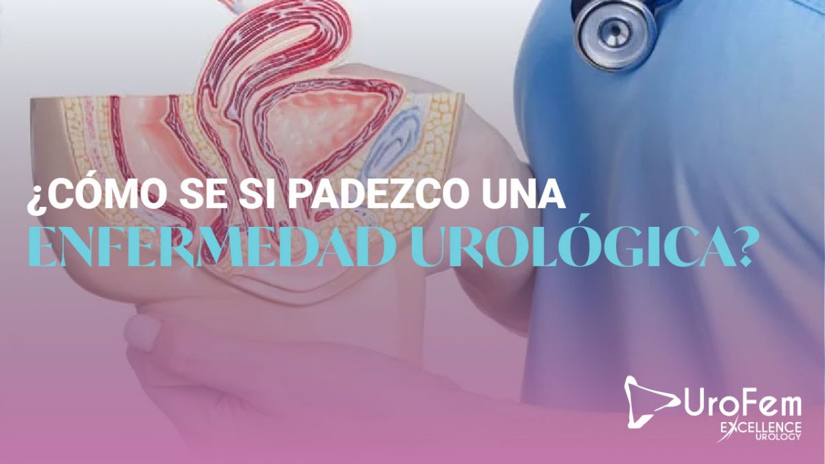 urologia femenina excellence urology