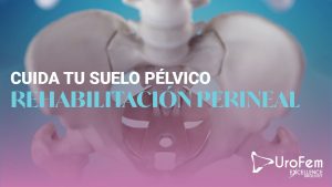 rehabilitacion perineal excellence urology