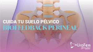 suelo pelvico biofeedback perineal excellence urology 1