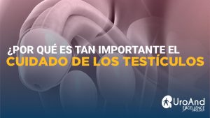 cuidar los testiculos excellence urology