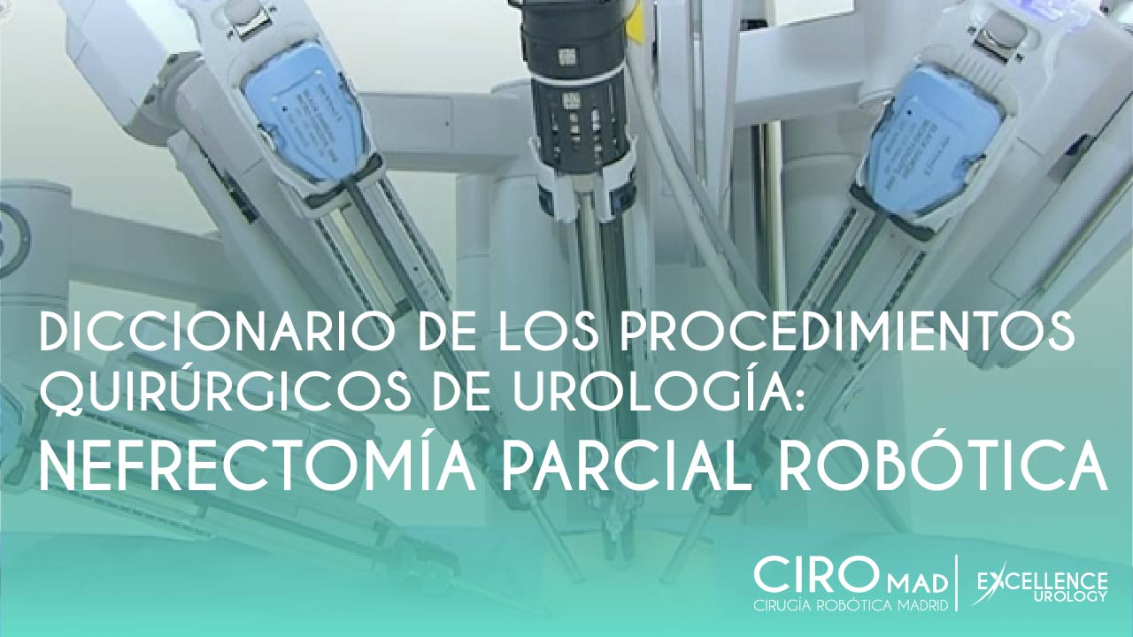 nefrectomia robotica excellence urology 36