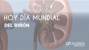 dia mundial del riñón